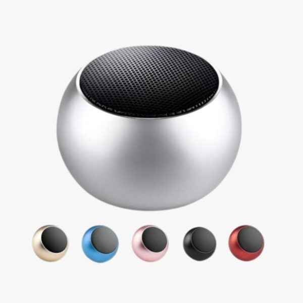 Portable Bluetooth Speaker