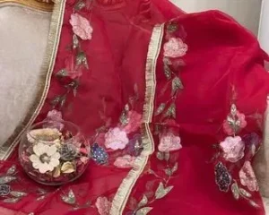 Organza Dupatta 2.5 Yard Hand Work Eid Party Wear